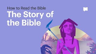 The Story of the Bible • What Its About From Beginning to End [upl. by Bobbette]