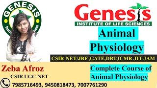 Absorption in Gastrointestinal track  Animal Physiology  Lecture11  CSIR NETJRF  Life science [upl. by Yerocal]