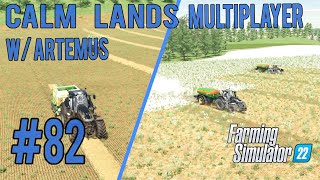 Bale N Lime  Calm Lands 82  MP W Artemus  Timelapse [upl. by Nikki]