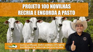 Projeto 100 novilhas recria e engorda a pasto [upl. by Ellerahc]