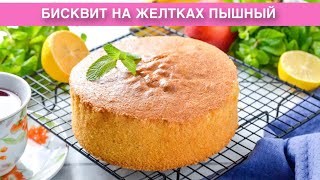 КАК ПРИГОТОВИТЬ БИСКВИТ НА ЖЕЛТКАХ ПЫШНЫЙ Домашний идеальный вкусный с разрыхлителем и крахмалом [upl. by Roth364]