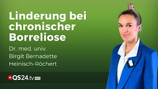 Die Inuspherese und Borreliose Neue Hoffnung für Patienten mit chronischer Infektion  QS24 [upl. by Alesiram]