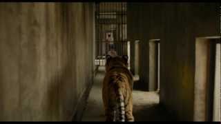 Life of Pi Clip Meet The Tiger  IN CINEMAS 29 NOVEMBER [upl. by Whalen]