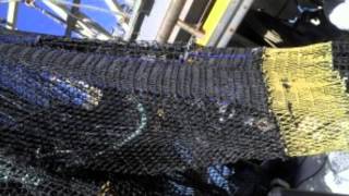 Prawn Trawling and Bycatch Reduction in Moreton Bay [upl. by Esenahs]