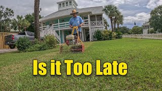 Late Season Lawn Renovation  When is Too Late [upl. by Saxe879]