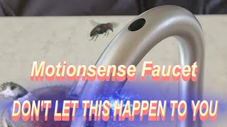 415 Moen Motionsense Kitchen Faucet  WARNING [upl. by Ennaul]