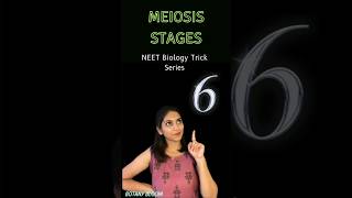 Meiosis stages📝  Cell cycle and cell Division shorts neet ytshorts [upl. by Ennahoj]