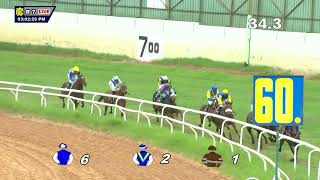 DHANTERAS THE CHAMPION TRAINER CUP DIVI100 [upl. by Anderegg485]