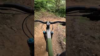 MTB Sheep on the trail💥RISCA CWMCARN mtb mtblife wales enduro trail mountainbike bike [upl. by Karissa59]