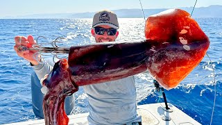 Fishing with Huge Squid as Bait to Catch Something Bigger [upl. by Hatti]