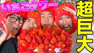 【大食い】大好物がいちごの4人を集めたら100個のいちごタワー無くせる！？ [upl. by Karb]