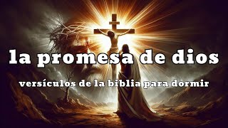 Las Promesas de Dios  Versiculos Biblicos Para Dormir  Biblia en audio [upl. by Ban]