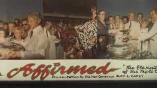 Instant Classic 1978 Belmont Stakes [upl. by Dnomaj]