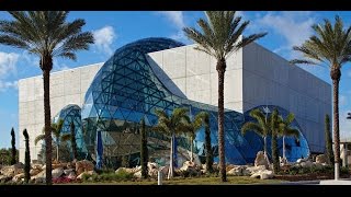 The Dali Museum An Unparalleled Experience [upl. by Anovahs574]