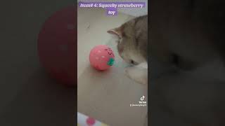 Kitten checks out the Summer 2024 Pusheen Cat Kit subscription box [upl. by Ravahs521]