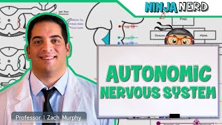 Neurology  Autonomic Nervous System [upl. by Varrian]