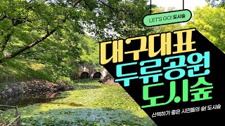 트래블숲 아름다운 공원 대구 대표 도시숲🌳 두류공원 도시숲🌲 [upl. by Yeliac]