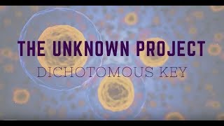 Unknown Bacteria Dichotomous Key [upl. by Bricker]