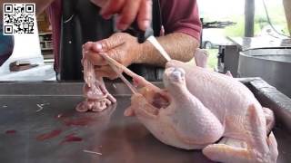 polyface poultry evisceration w joel salatin YouTube [upl. by Artinad959]