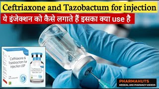 Ceftriaxone and tazobactam for injection  ceftriaxone tazobactam injection in Hindi  Antibiotics [upl. by Gaidano]