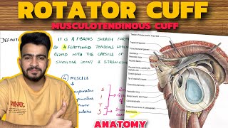 Rotator Cuff  Musculotendinous Cuff  Upper Limb Anatomy [upl. by Borek]