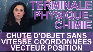 Chute dobjet sans vitesse 3  coordonnées vecteur position  Physique  Terminale [upl. by Layla579]