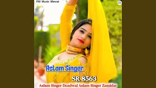 Aslam Singer SR 8563 [upl. by Maunsell]