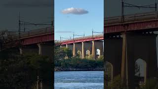 Amtrak Acela amp Amtrak Northeast Regional Trains on the Hell Gate Bridge [upl. by Bobinette479]