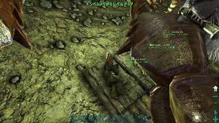 参加型｝ここは空も飛べるはず まったりサバイバルARK SURVIVAL EVOLVED 111 [upl. by Okimuy531]