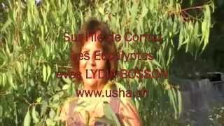 Aromathérapie  L Eucalyptus  Lydia Bosson [upl. by Sudbury]