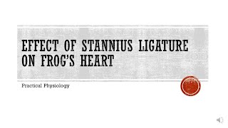 Experimental Physiology Effect of Stannius Ligature on Frogs Heart [upl. by Alyss]