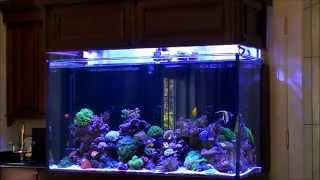 Dons HighTech Custom Reef Tank [upl. by Akenihs]