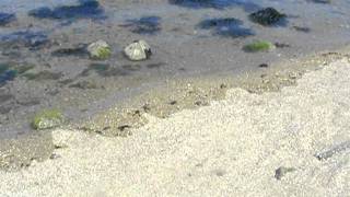 Grandes Marées SaintMalo  Time Lapse marée montante sur le passage du grand bé [upl. by Hawley]