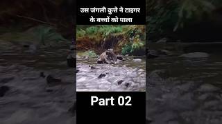 wild dog save tigers cubs lifewild tiger cubswild dog cubsa tigers life part 2 yt shortviral [upl. by Berard]