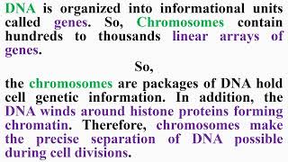 Chromosomes and DNA [upl. by Annavaj553]