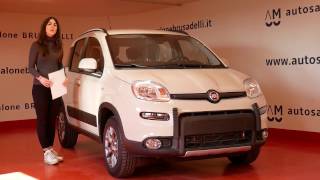 FIAT Panda 09 TwinAir Turbo SampS 4x4 [upl. by Zilada]