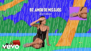 Zoe Gotusso  Amor de Mis Ojos Official Visualizer [upl. by Howlend]