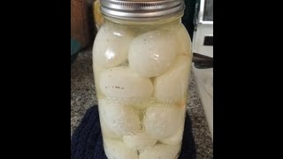 Pickled Eggs Pucker Up Baby [upl. by Felipa]