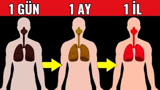 Siqareti 1 ay Tərgitsək Orqanizmdə NƏ BAŞ VERƏR [upl. by Novyak]