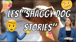 Les shaggy dog stories  lessentiel en une minute [upl. by Arlin]