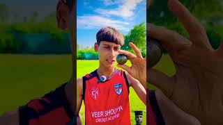 3 Kg Iron Ball Vs All Bat 😱 cricketwithvishal shorts [upl. by Haynor165]