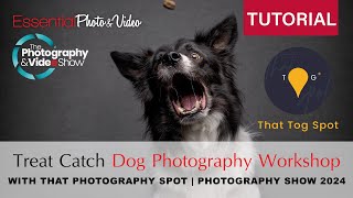 That Photography Spot  Treat Catch Dog Photography  Photography Show 2024 with EPV [upl. by Nitaj]