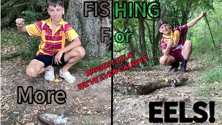 MASSIVE Eels Fishing For More Eels With My Mate Over 1 meter Almost snapped a rod [upl. by Ocirema]