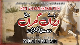 Haye Veeran Gharan Vich  Ali Tafseer Zaidi  Akhter Hussain Akhtar [upl. by Schell97]