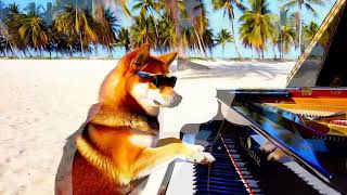 Shiba Inu Playing Piano On The Beach [upl. by Anivahs992]