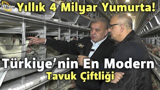 Türkiyenin En Modern Tavuk Çiftliği Yıllık 4 Milyar Yumurta  Çiftçinin Seyir Defteri [upl. by Ynor]