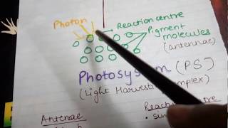 Photosystem Structure components and types [upl. by Kaila]