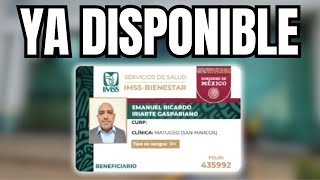 NUEVA credencial BIENESTAR va a beneficiar a millones de MEXICANOS 2024 [upl. by Ettedranreb]