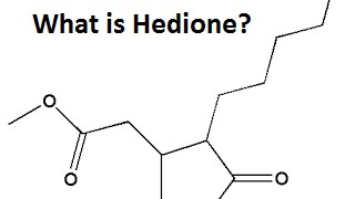 DIOR PART 2 What is Hedione [upl. by Mauchi76]