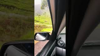 Maskeliya gartmore road sri lanka nuwaraeliya waterfall nature tealand [upl. by Asa]